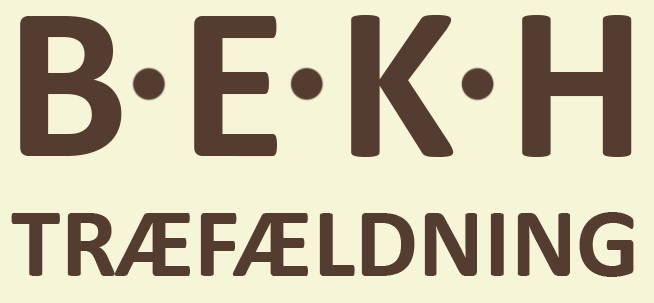 BEKH-logo-nyt-TSH-20112021